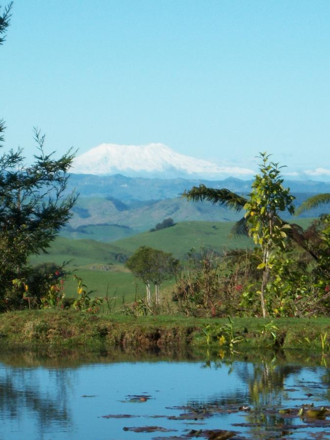 Waitomo Boutique Lodge Екстер'єр фото