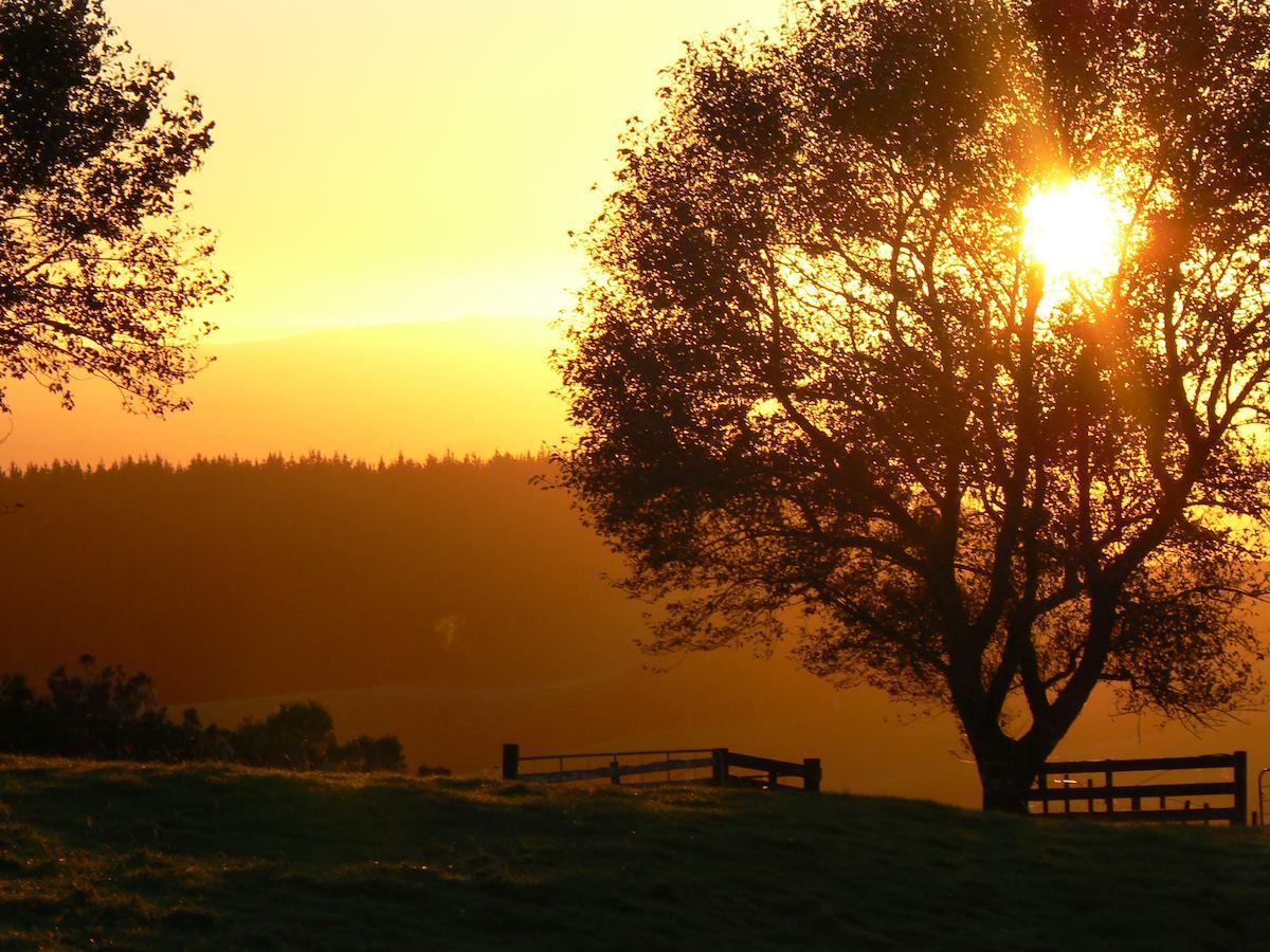 Waitomo Boutique Lodge Екстер'єр фото