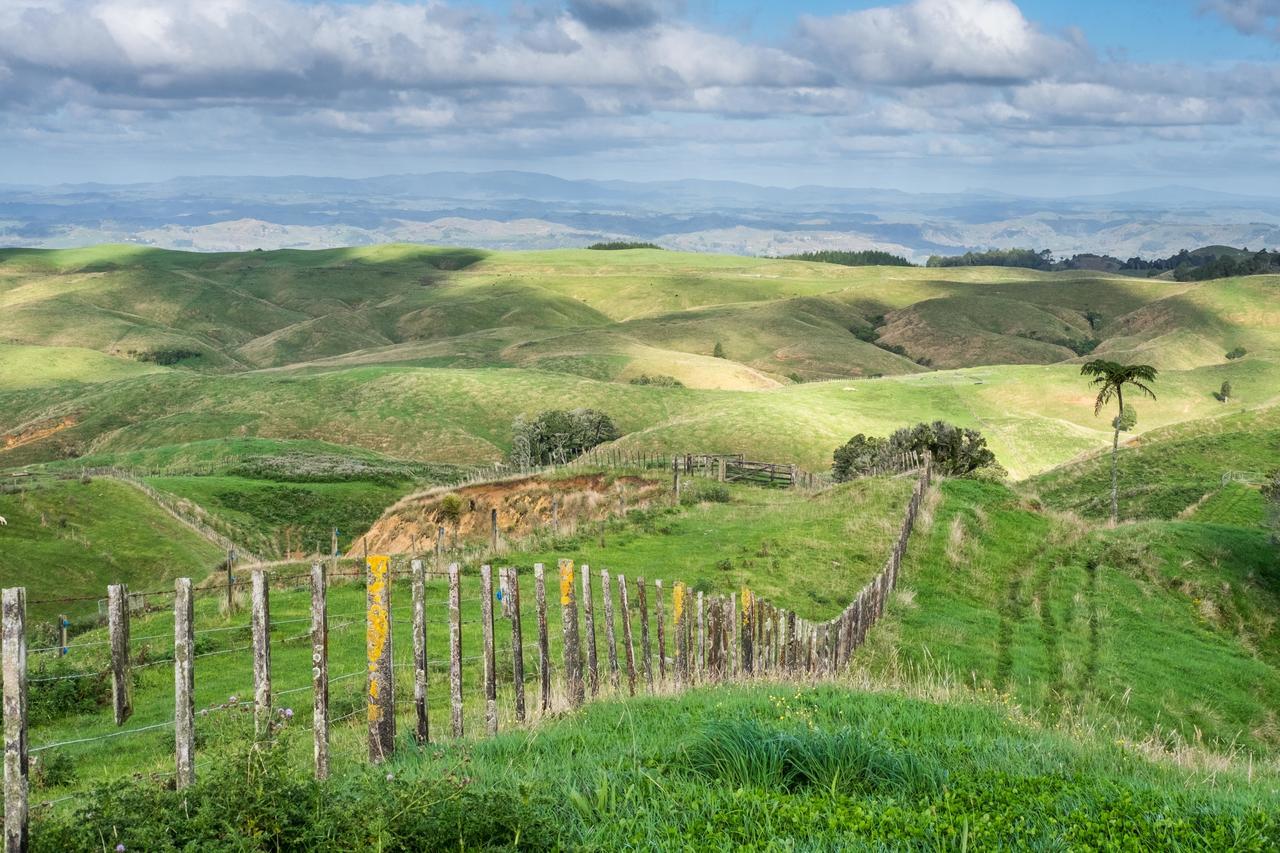 Waitomo Boutique Lodge Екстер'єр фото